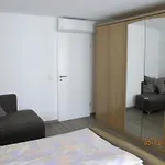 Eichenauer Apartment Angersbach
